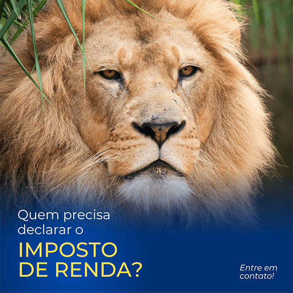 CONTABILIDADE 15 (1)